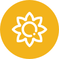 Tecnobrega