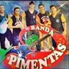 Foto de: banda os pimentas