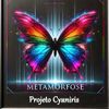 Foto de: Projeto Cyaniris