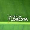 Foto de: Vozes da Floresta