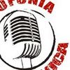 Foto de: Microfonia Crônica