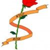 Foto de: Wyld Rose