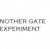 Foto de: Another Gate Experiment