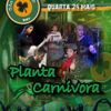 Foto de: Planta Carnívora
