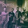 Foto de: Smoking Snakes