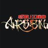 Foto de: Studio Arsenal Funk