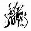 Foto de: Baby Shakers