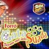 Foto de: Forró Gata Suada