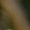 Foto de: Adelino Martins