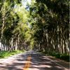 Foto de: GABRIELBR97