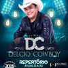 Foto de: DELCIO COWBOY ATUALIZADO