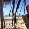 Foto de: Luciana Skiba