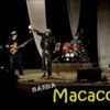 Foto de: Banda Macacos