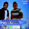Foto de: Hawaiianos do forró