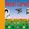 Foto de: Bebel Carvalho