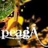 Foto de: peagÁ