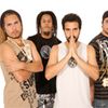 Foto de: Macaco Prego