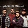 Foto de: Árvores de Carvalho