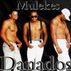 Foto de: Mulekes Danados