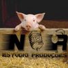 Foto de: N & R StúDiO PrOdUçõEs...