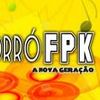 Foto de: Forro FPK
