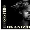 Foto de: Organização do Desespero