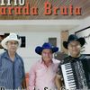 Foto de: Trio Parada Bruta