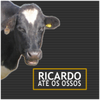 Foto de: Ricardo até os ossos