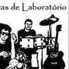 Foto de: Cobras de Laboratório