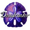 Foto de: Dendraster