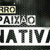 Foto de: BANDA PAIXÃO NATIVA