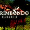 Foto de: Marimbondo-caboclo