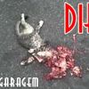 Foto de: Diro