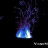 Foto de: VikseN _
