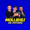 Foto de: Forró Mollekes de Patrão