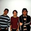 Foto de: Stereoplasticos