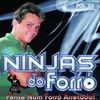 Foto de: BANDA NINJAS DO FORRÓ