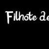 Foto de: Filhote de Leoa