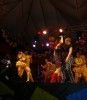 Foto de: netynho & banda  pressão total