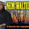 Foto de: NEM WALTER - O furacão das vaquejadas