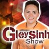 Foto de: Gleysinho show