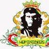 Foto de: HOMINÍDEOS