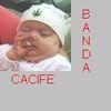 Foto de: Cacife