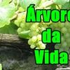 Foto de: ÁRVORE DA VIDA