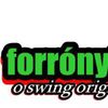 Foto de: forro nigth (oficial)