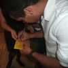 Foto de: NETO LIMA