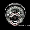 Foto de: SURDA SQUINA