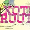 Foto de: Xote Root's