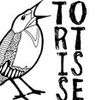 Foto de: tortisse