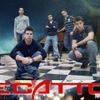 Foto de: PECATTO